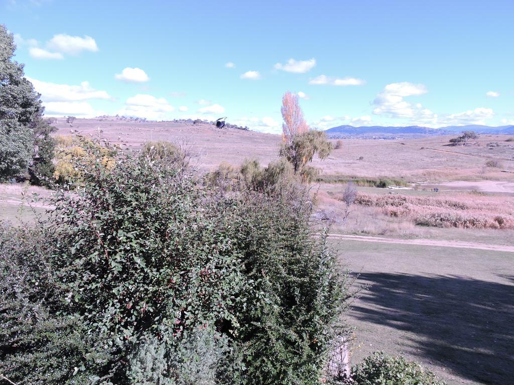 Siesta Villa Jindabyne Exterior foto